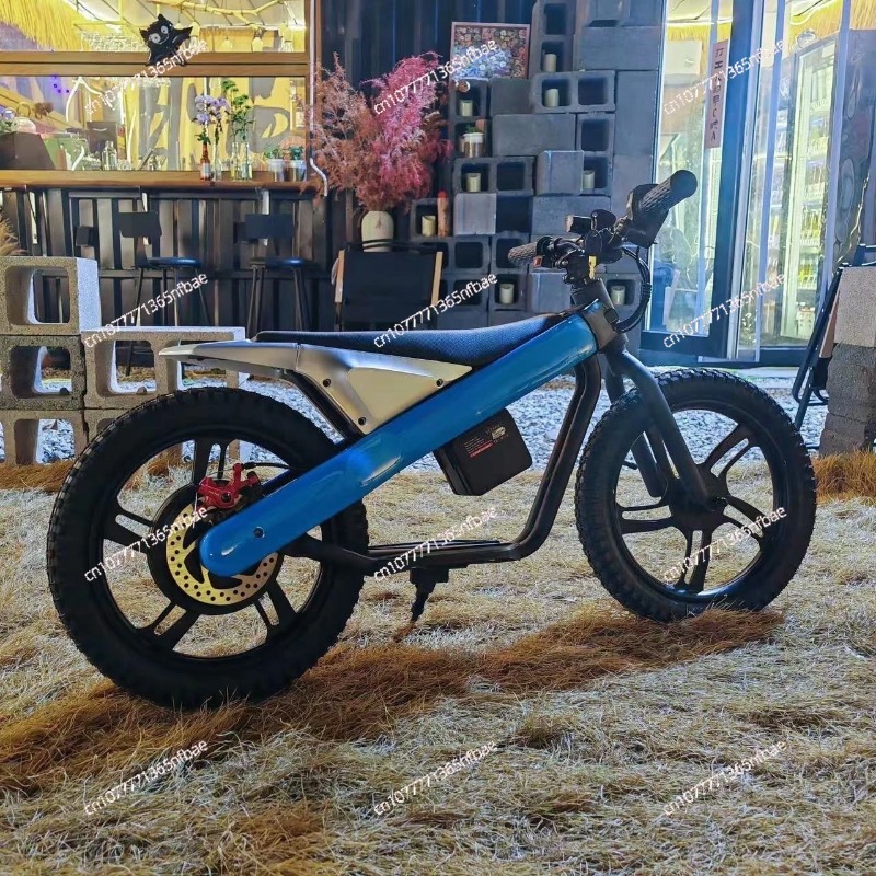 16 Inch Kids Electric Balance  - đánh giá và giá Kids Ride On Suitcase Scooter